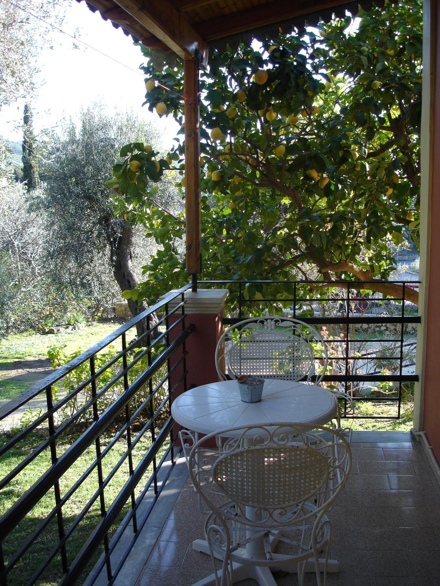 Bozikis Apartments & Studios Paleokastritsa Exteriér fotografie